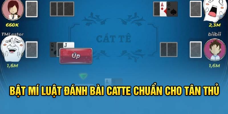 Bật mí luật đánh bài catte chuẩn cho tân thủ