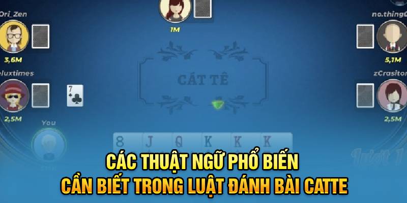 Các thuật ngữ phổ biến cần biết trong luật đánh bài catte