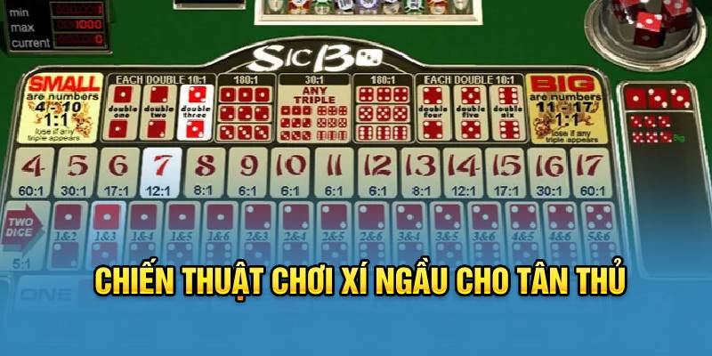 Chiến thuật thi đấu xí ngầu cho tân thủ