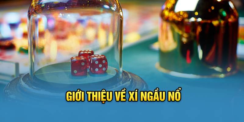 Giới thiệu về xí ngầu nổ