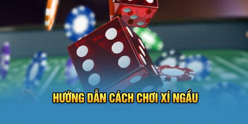 Hướng dẫn cách lắc cho tân thủ