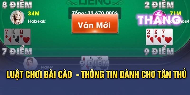 Luật chơi bài cào  - Thông tin dành cho tân chơi tân thủ 