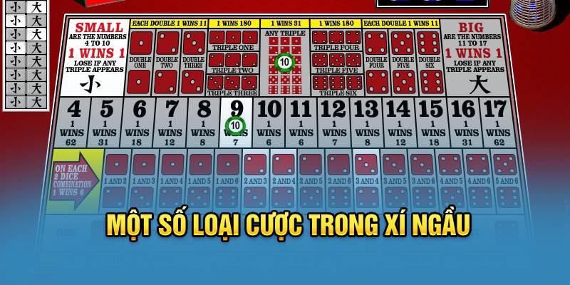 Một số loại cược trong xí ngầu