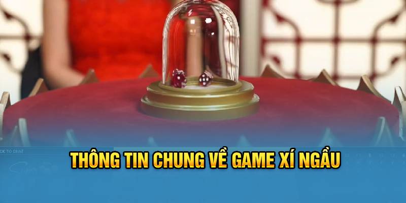 Thông tin chung về game xí ngầu